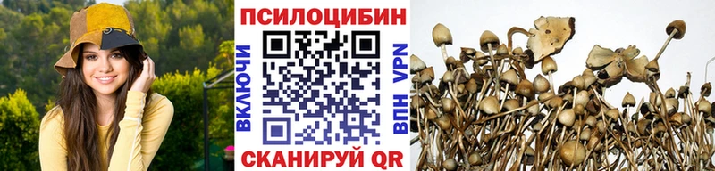 Псилоцибиновые грибы MAGIC MUSHROOMS  Новопавловск 